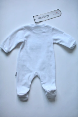 Sleepsuit, Bodysuit
