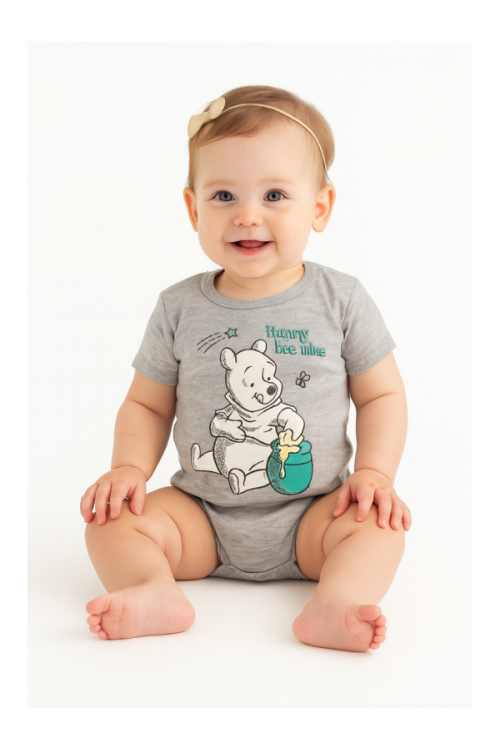 bodysuits 2pcs