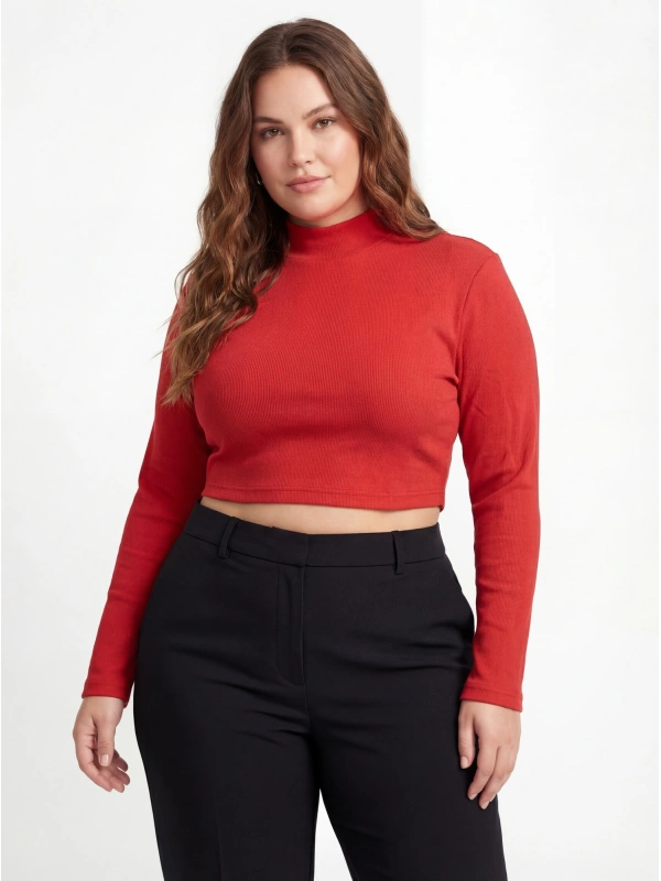 Crop top (2 pc)
