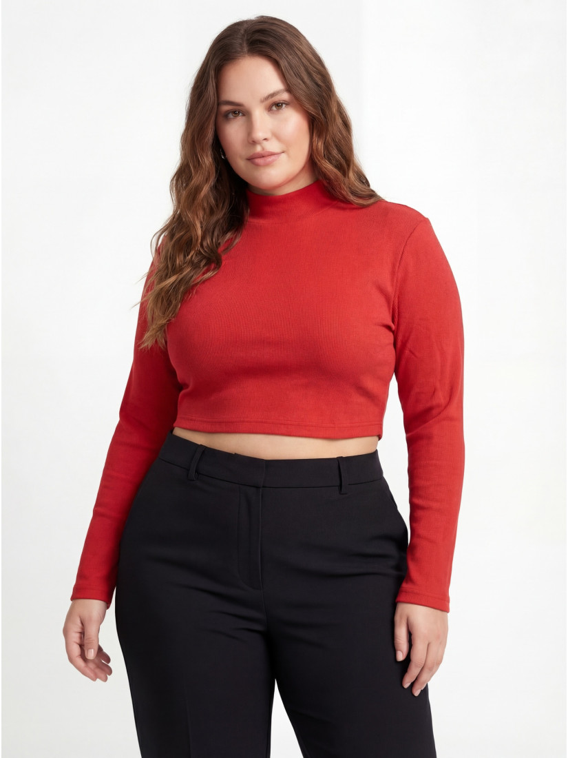 Crop top (2 pc)