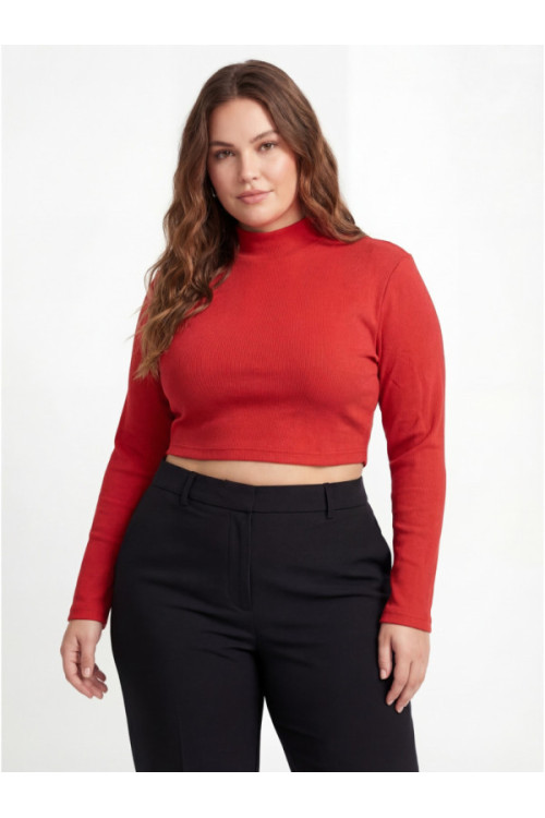 Crop top (2 pc)