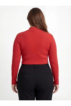 Crop top (2 pc)