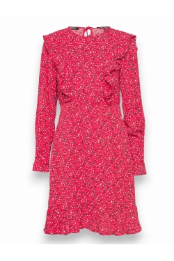 Ruffled long-sleeved mini  Dress