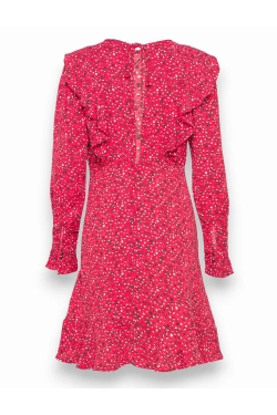 Ruffled long-sleeved mini  Dress